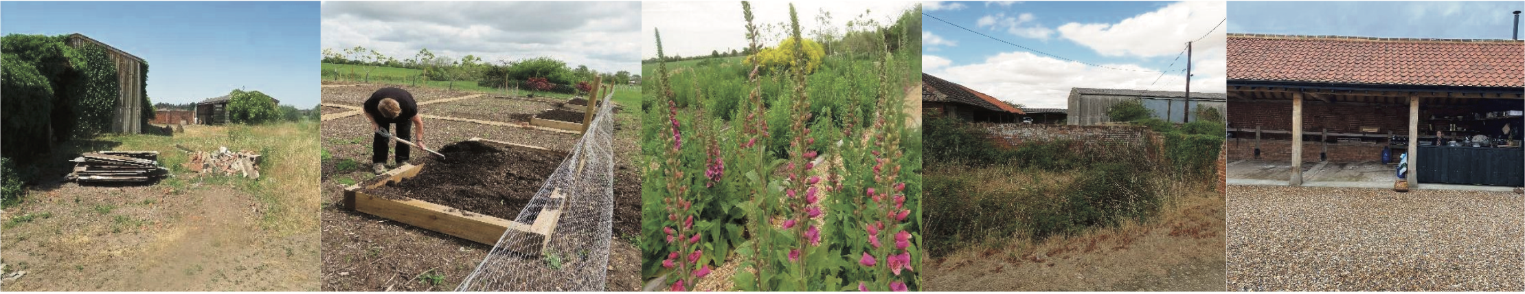 Colour Naturally - Lofts Farm, Maldon